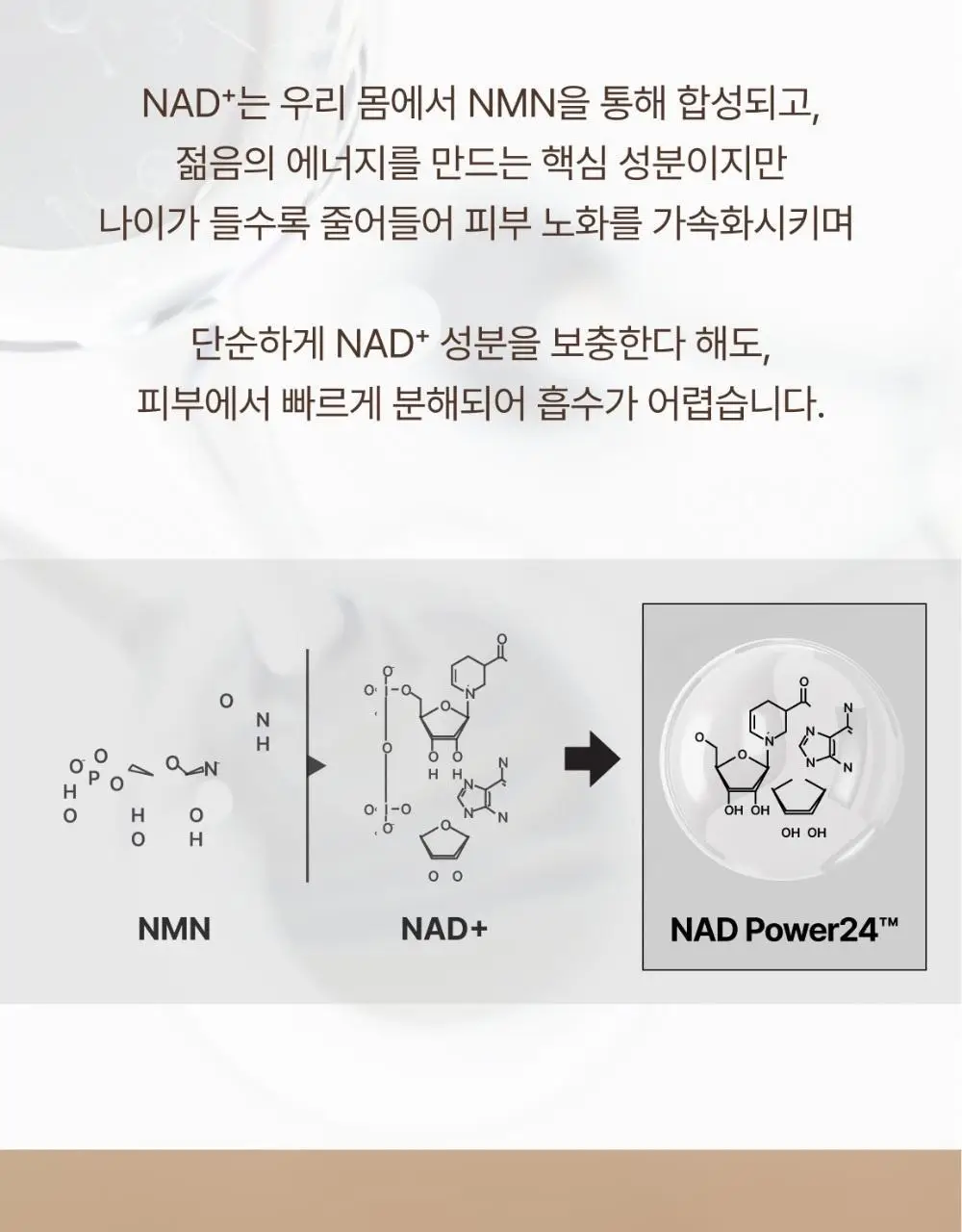 [NEW] 더후 비첩 자생 에센스 어드벤트 캘린더 상세페이지 17